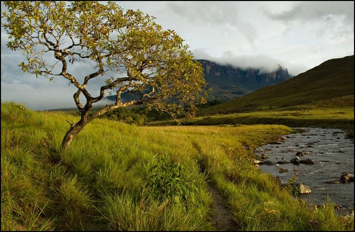 Fotky: Venezuela (foto, obrazky)