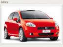 :  > Fiat Grande Punto Active 1.2 (Car: Fiat Grande Punto Active 1.2)