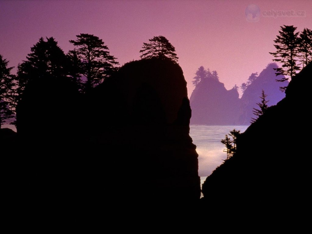 Foto: Point Of Arches, Olympic National Park, Washington