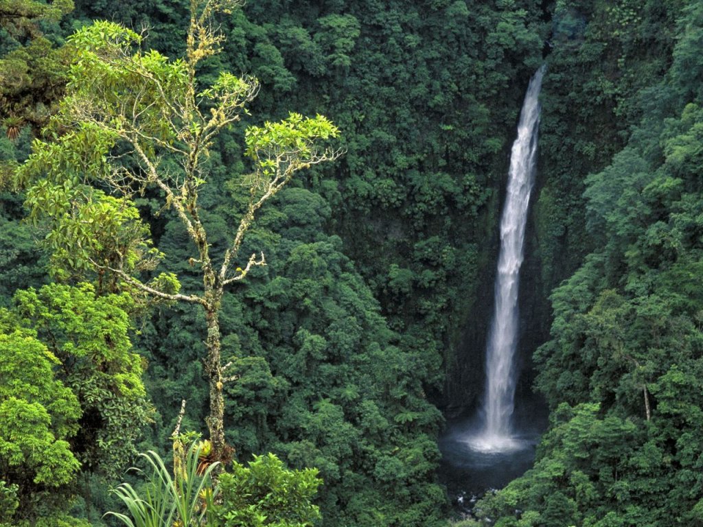 Foto: Angel Falls, Aka Congo Falls,  Cordillera Central, Costa Rica