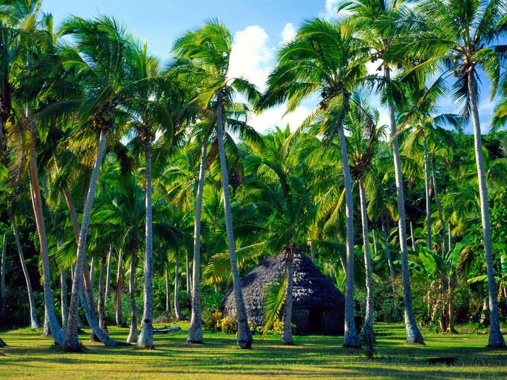 Foto: Traditional Hut, Lifou Island, New Caledonia