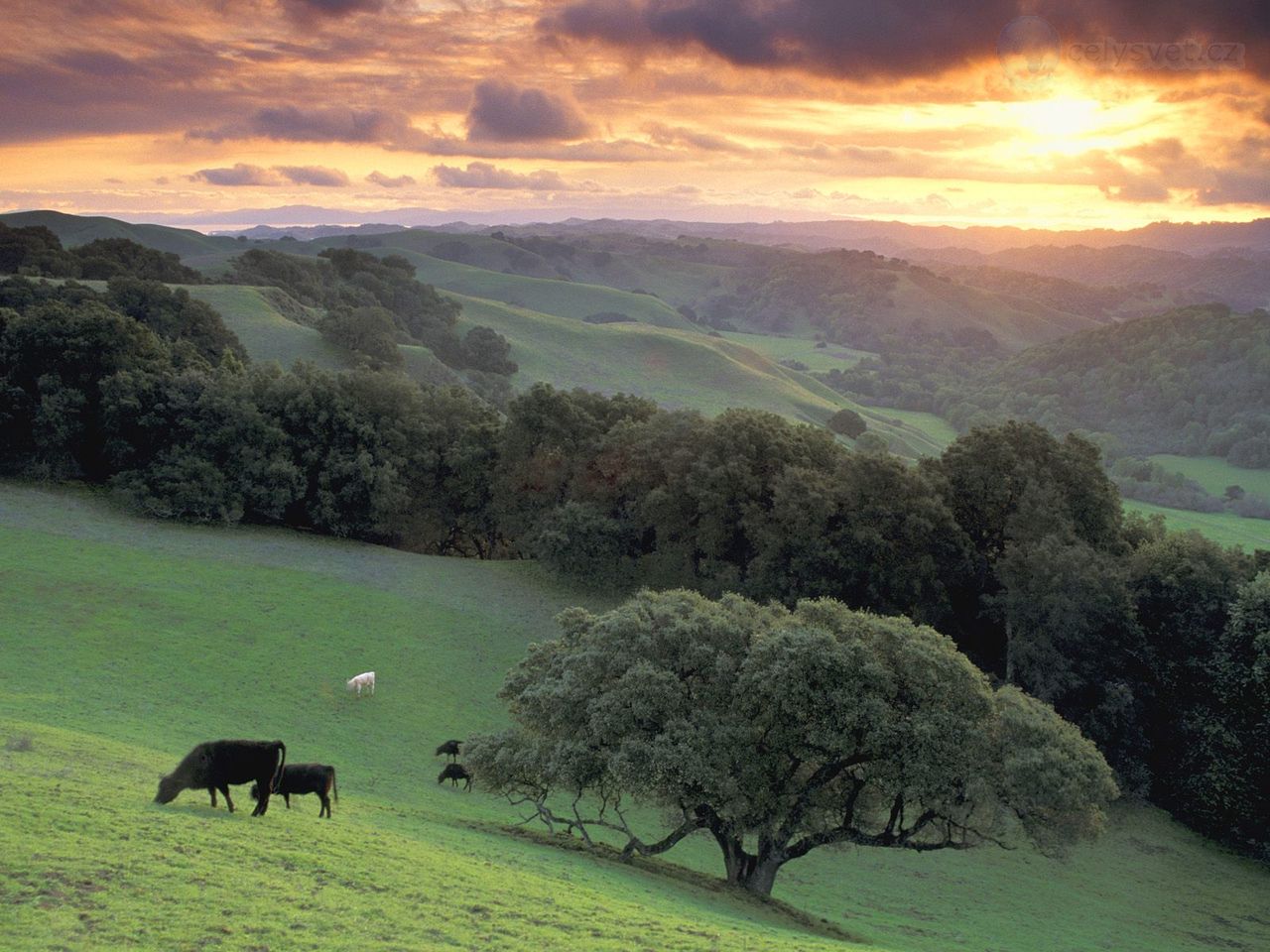 Foto: Briones Regional Park At Sunset, Contra Costa County, California