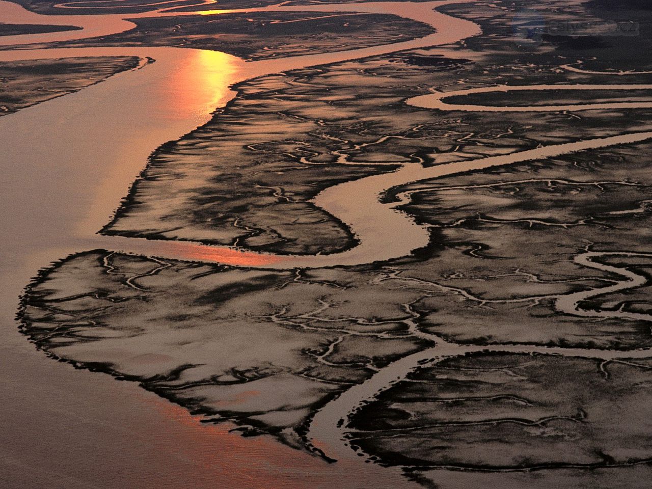 Foto: Aerial View Of A Salt Marsh, South Carolina