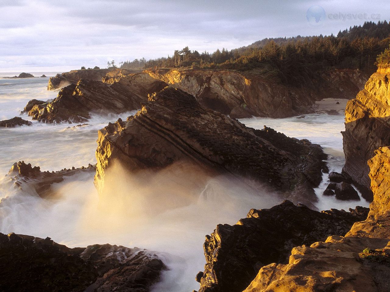 Foto: Shore Acres State Park, Coos County, Oregon