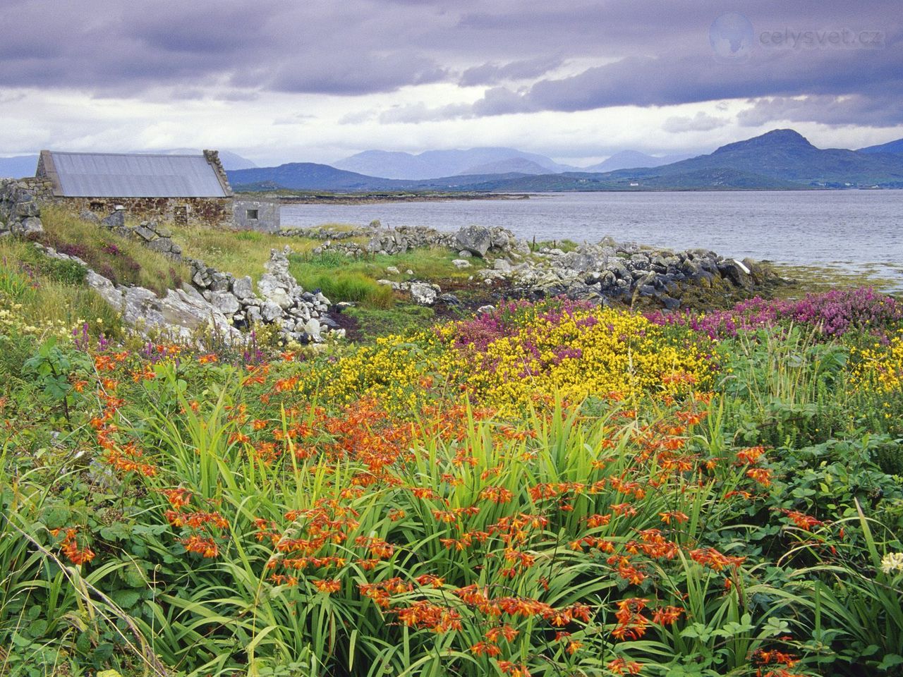 Foto: Carna Bay, Ireland