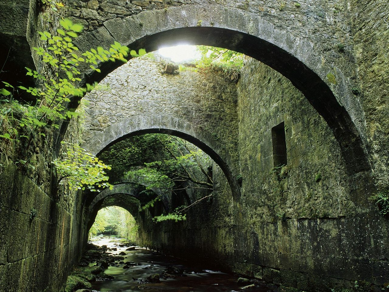 Foto: Valle De Aezkoa, Navarre, Spain