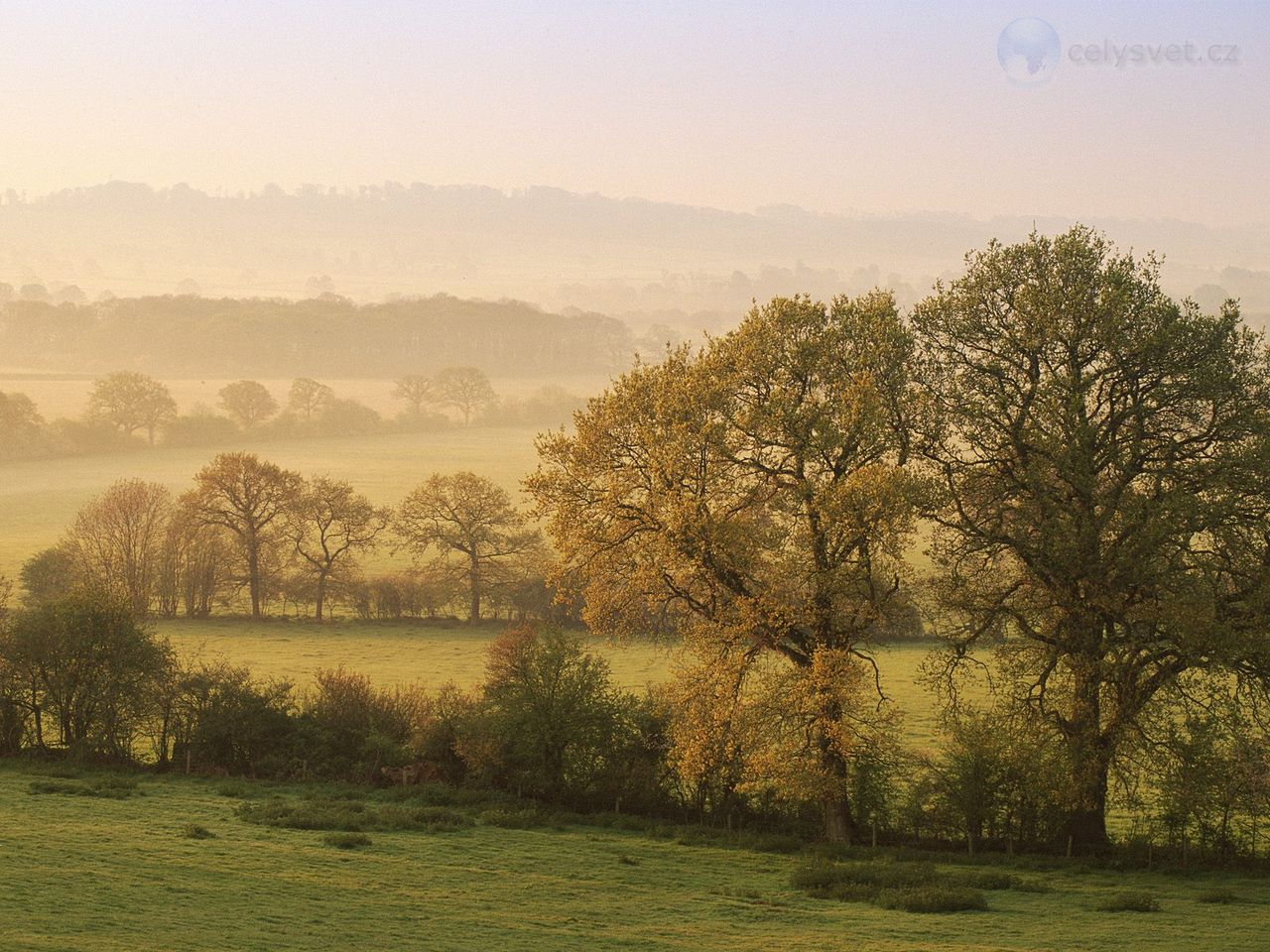 Foto: Dawn At Staunton Caundle, Dorset, England