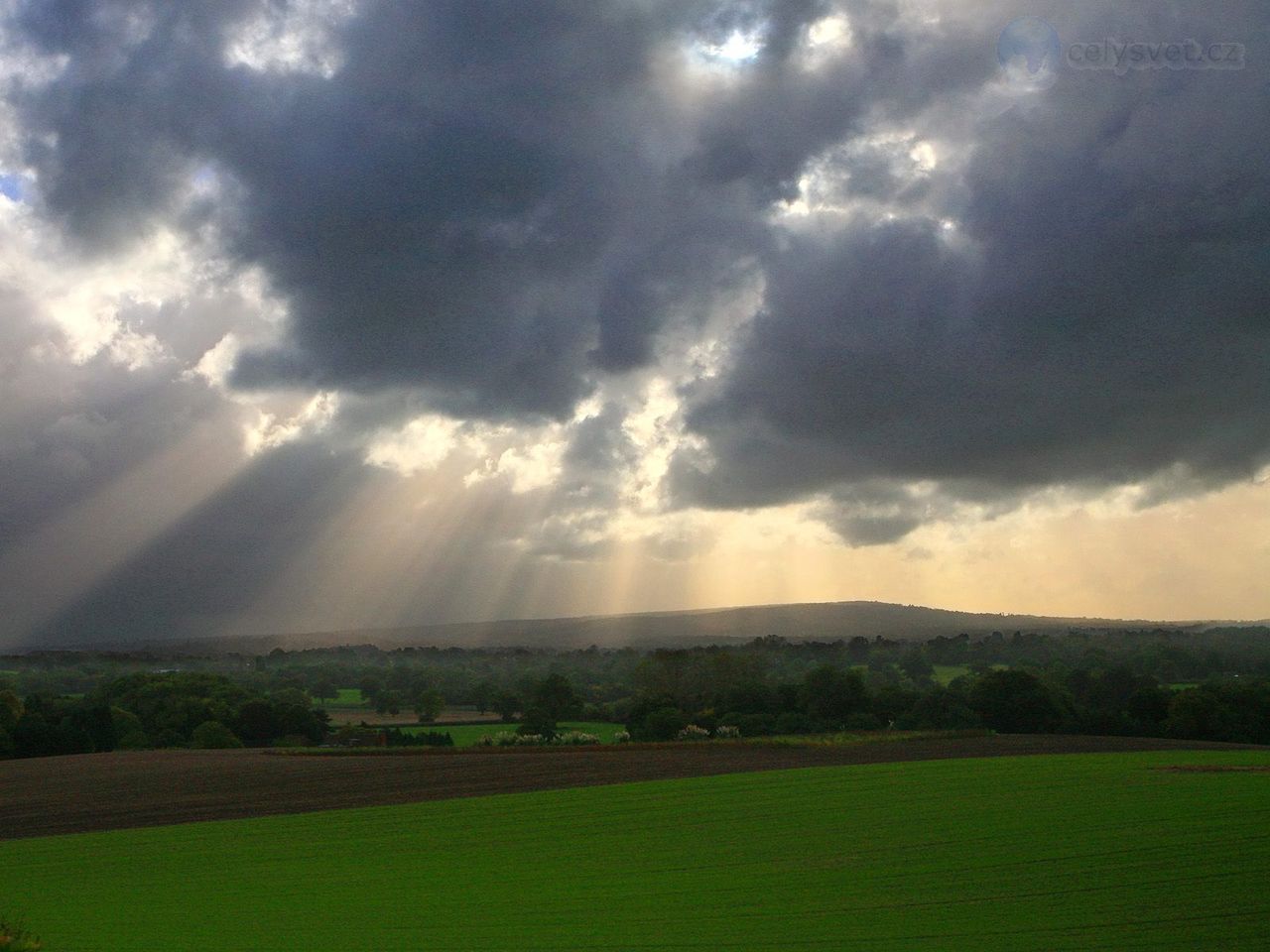 Foto: Mystical Light, Between Dorking And Merstham On The North Downs Way, England