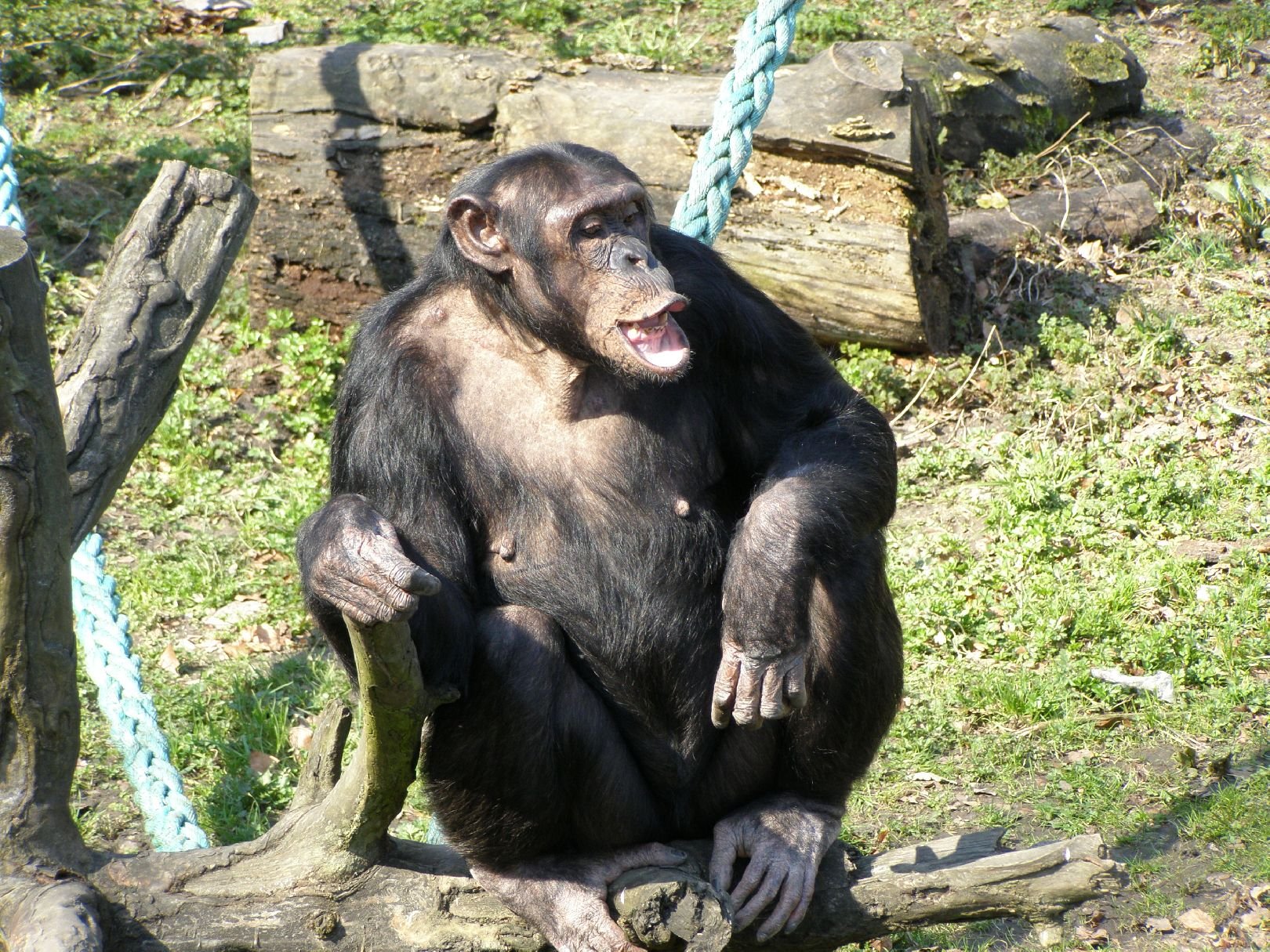 Foto: ZOO Ostrava