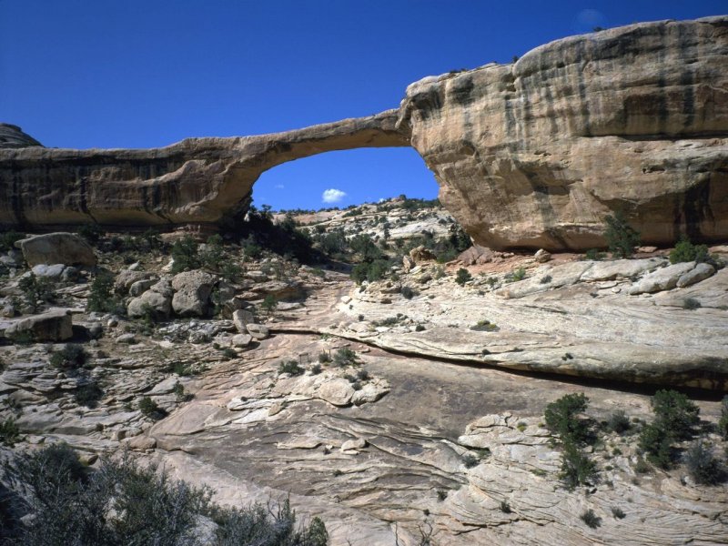 Foto: Owachomo Bridge, Natural Bridges National Monument, Utah 2