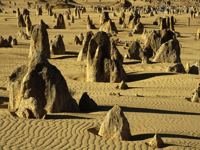 Foto: The Pinnacles, Nambung National Park, Western Australia 2